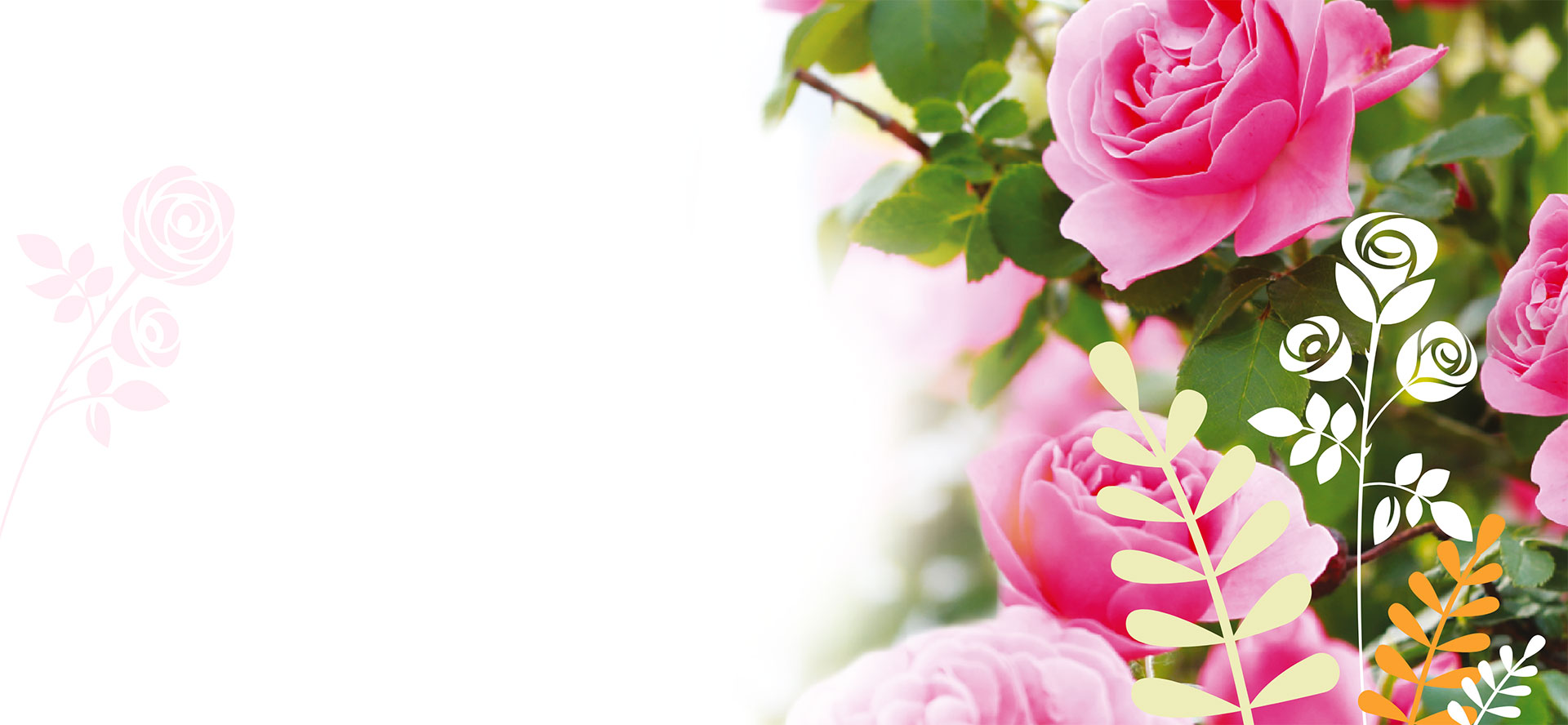 Voyez la vie en roses dans votre jardin