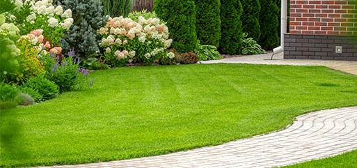 Terreau pour le gazon pleine terre