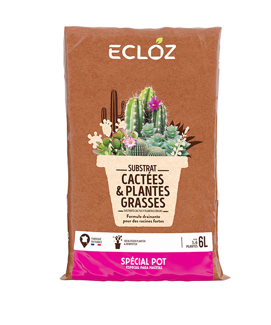 Terreau cactées & plantes grasses