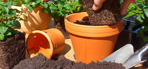 Terreau pour toutes plantations - Pleine terre